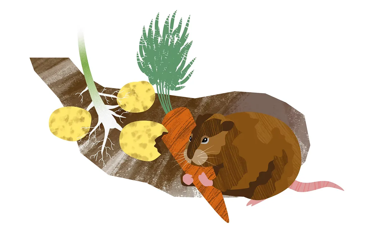 mouse